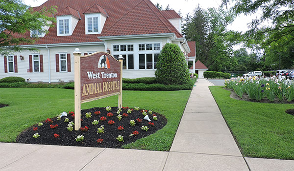 animal hospital in West Trenton